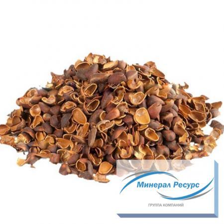 Скорлупа кедрового ореха